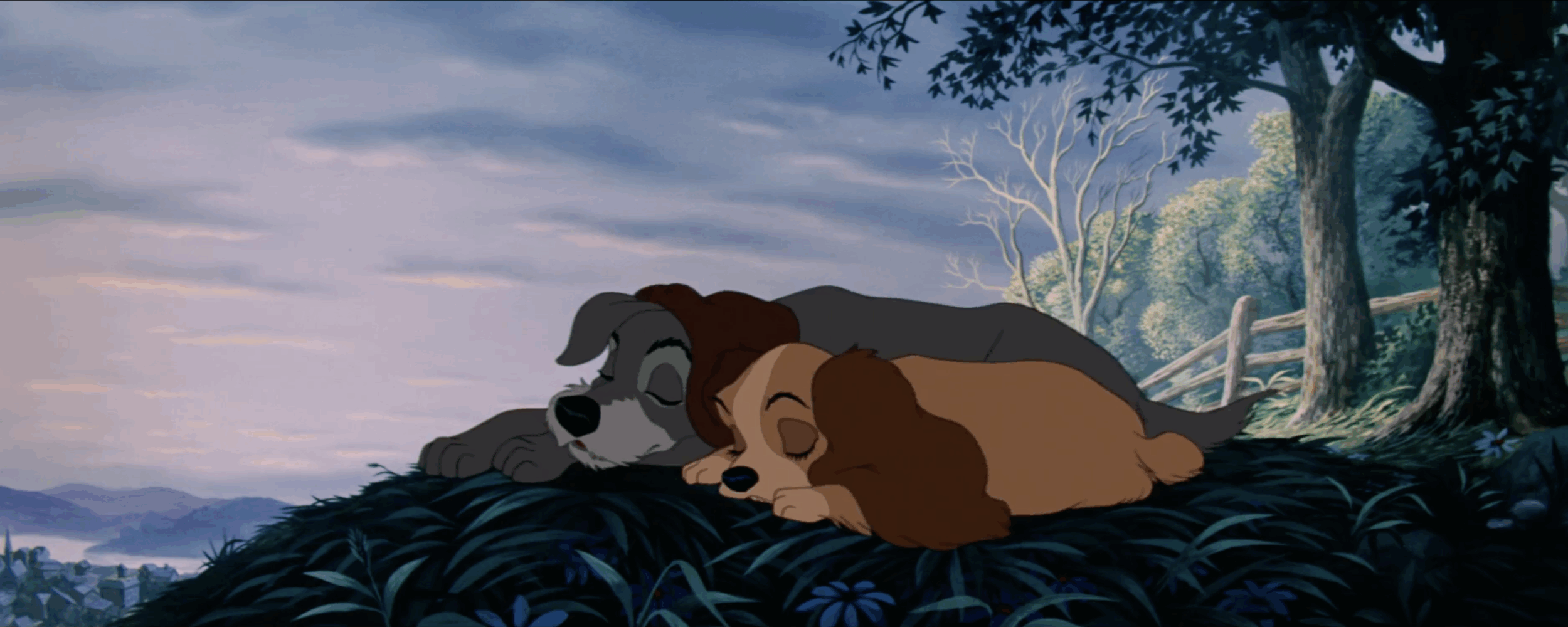 Lady And The Tramp